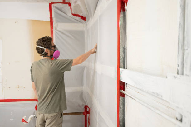 Best Emergency Mold Remediation  in Claryville, KY
