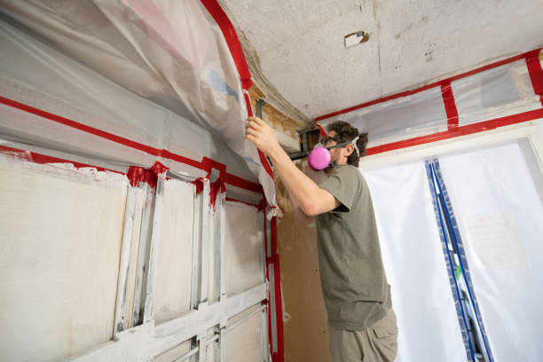 Best Environmental Consulting for Mold Prevention  in Claryville, KY