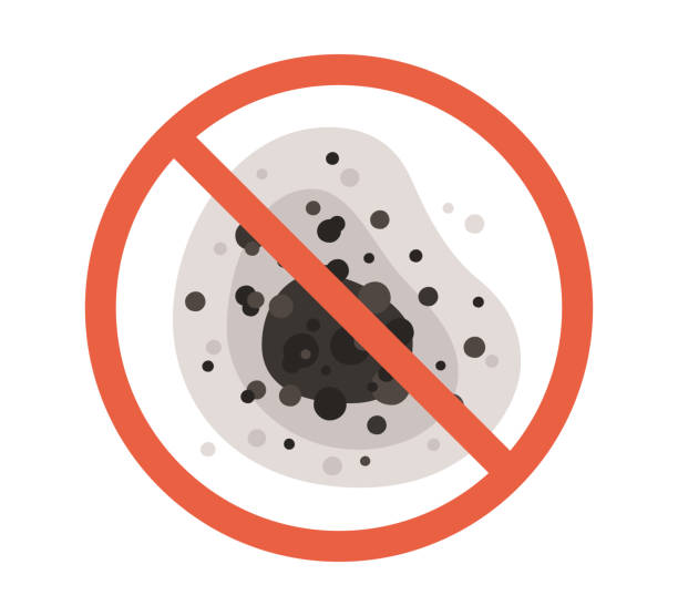 Best Biohazard Mold Removal  in Claryville, KY