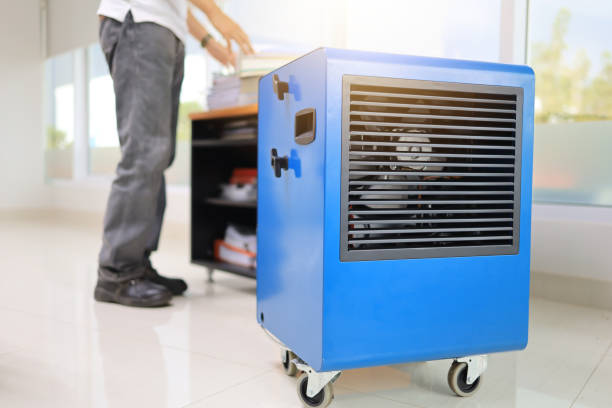Best HVAC Mold Inspection and Cleaning  in Claryville, KY