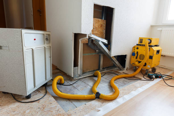 Best Mold Remediation for Healthcare Facilities  in Claryville, KY