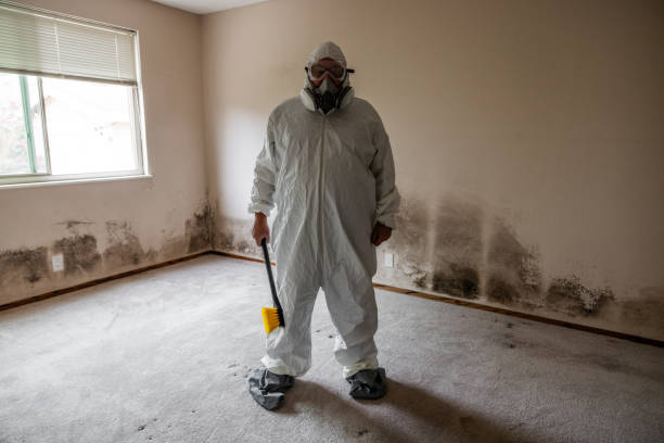 Best Commercial Mold Inspection  in Claryville, KY